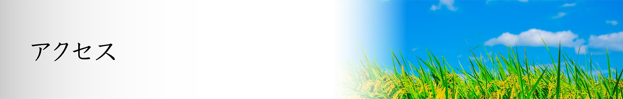 アクセス