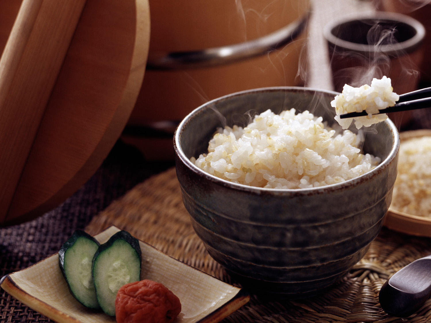 コシヒカリ エコ50