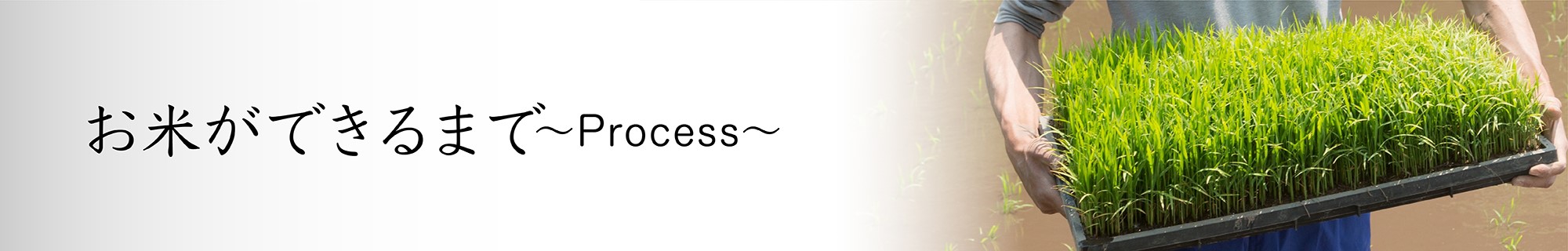 ホテルのご案内 Information